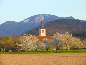 Staufen Grunern mit Belchen